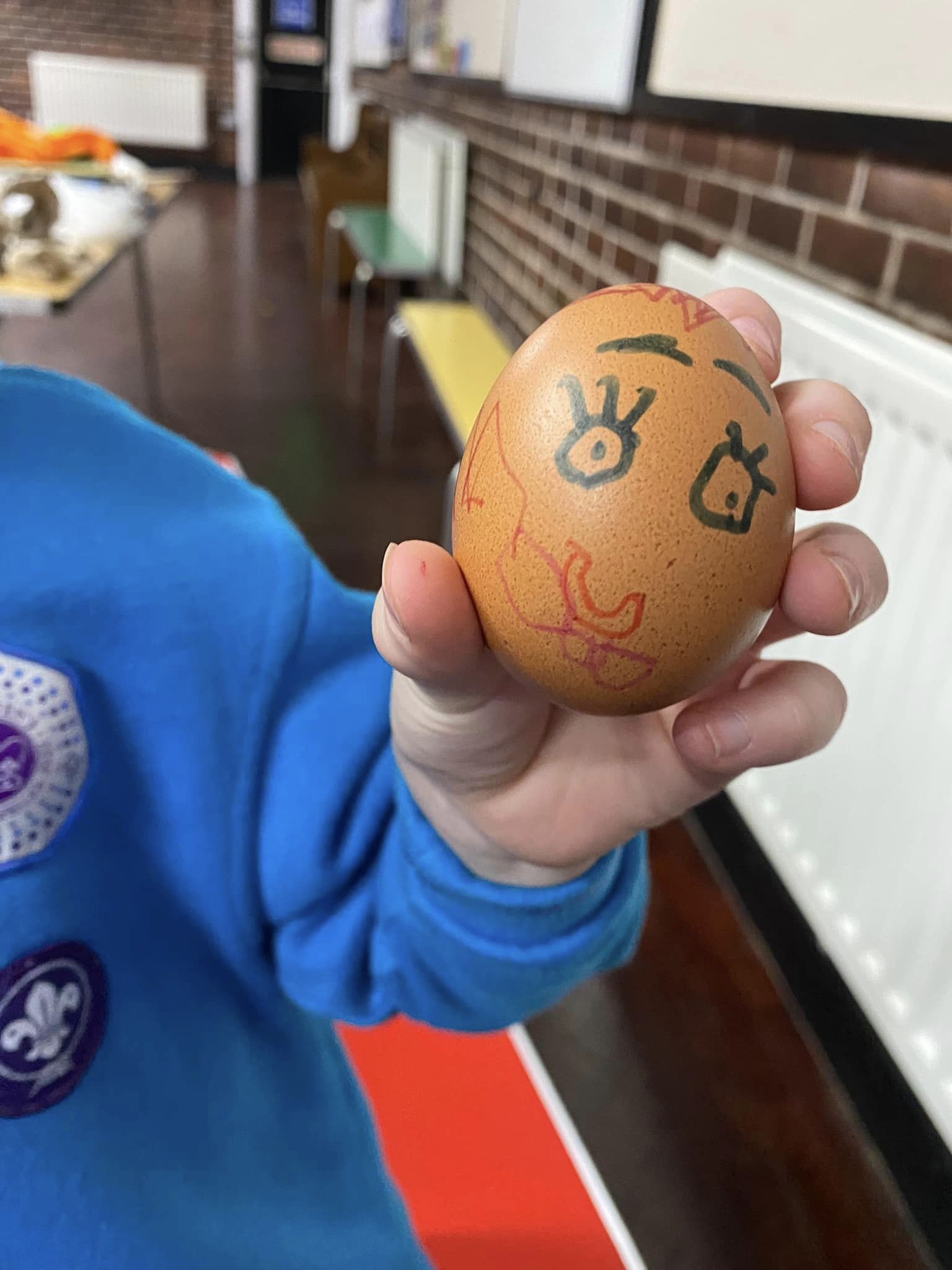 Egg Drop Challenge for Beavers